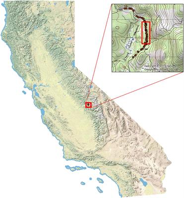 Elevated road segment (ERS) passage design may provide enhanced connectivity for amphibians, reptiles, and small mammals